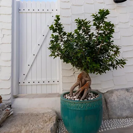 Gardenya Buti̇k