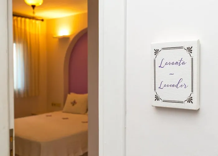 Gardenya Buti̇k Hotel 3*