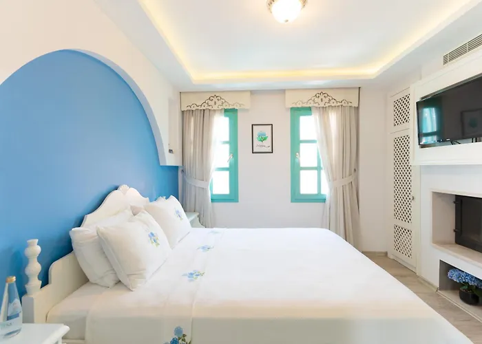 Gardenya Buti̇k Hotel 3*