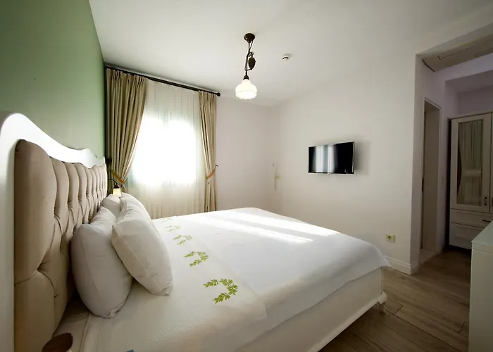 Gardenya Buti̇k Hotel 3*