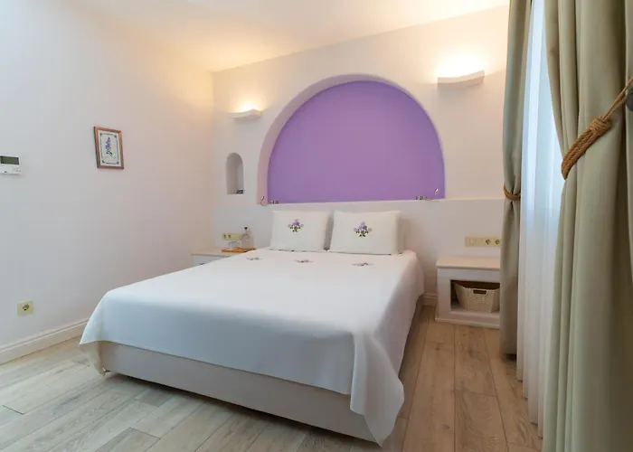 Hotel Gardenya Buti̇k 3*